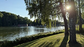 Waldsee Wemding Abendblick mit Sonneneinstrahlung am Ufer des Waldsees