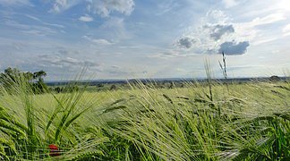 Natur im Ries