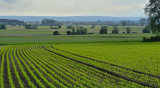 Landwirtschaft im Ries