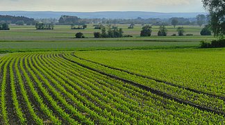 Landwirtschaft im Ries