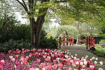 Blumenpark Dehner