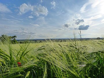 Natur im Ries