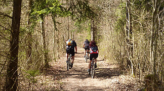 Radfahren im Wald