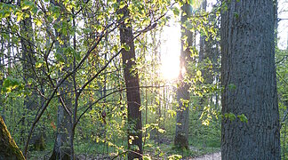 Weg zum Schwefelbrünnlein