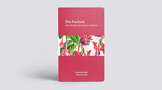 Fuchsienfibel