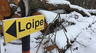 Schild Langlaufloipe Wemding