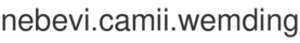 nebevi.camii.wemding